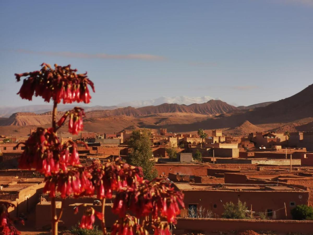 Riad Tigmi Du Soleil Ait Benhaddou Ngoại thất bức ảnh