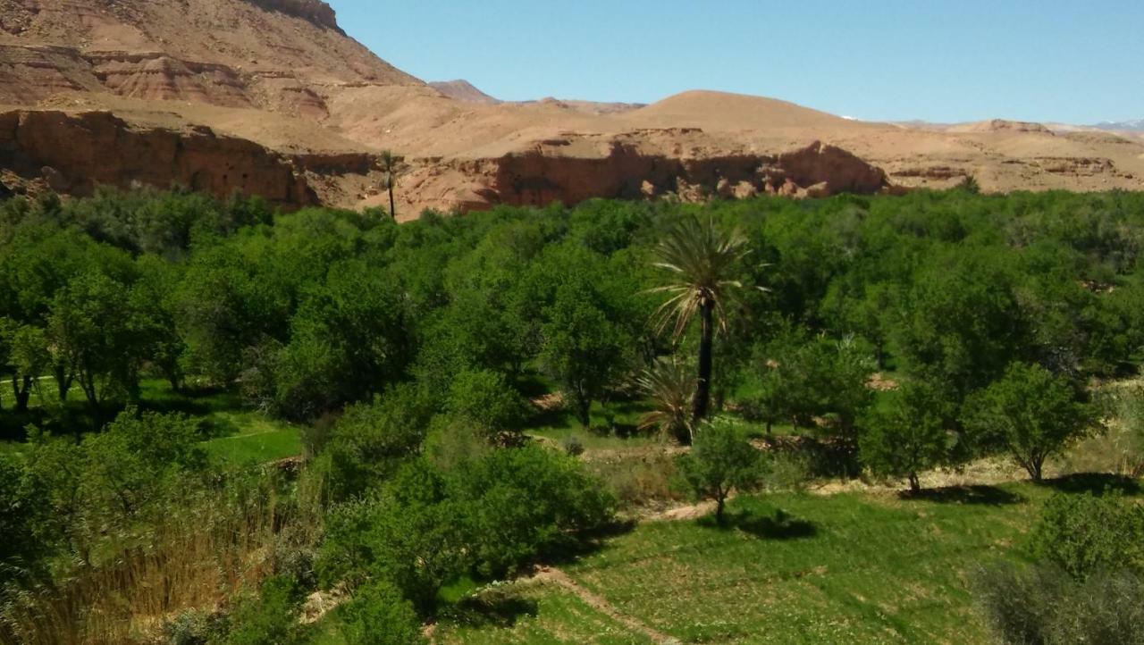 Riad Tigmi Du Soleil Ait Benhaddou Ngoại thất bức ảnh